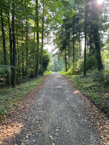 Rund ums Hesperbachtal