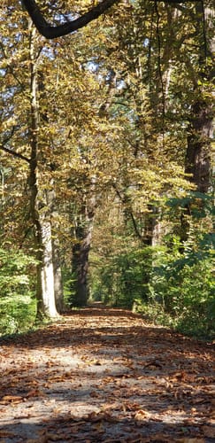 Riedstadt-Erfelden: Haubentaucherweg