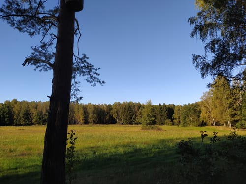 Kienbaum Runde