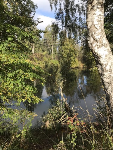 Entlang der Lech ab Staustufe 21