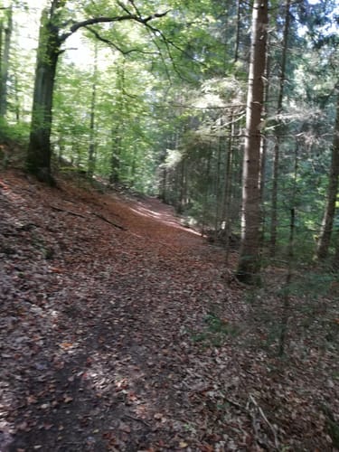 Bernsteinweg Schnaittenbach