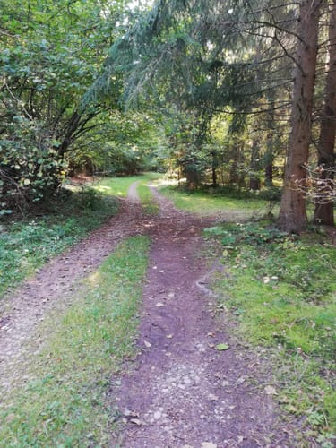 Bernsteinweg Schnaittenbach