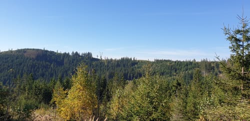 Schlegelshaider Höhenweg RT 23