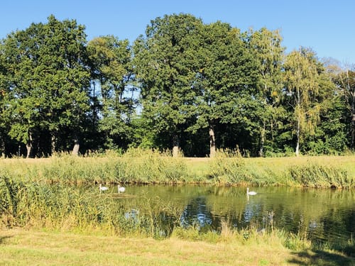 Mountainbiketour nördlich von Bad Liebenwerda
