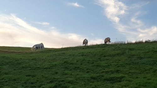 Über die Annahöhe