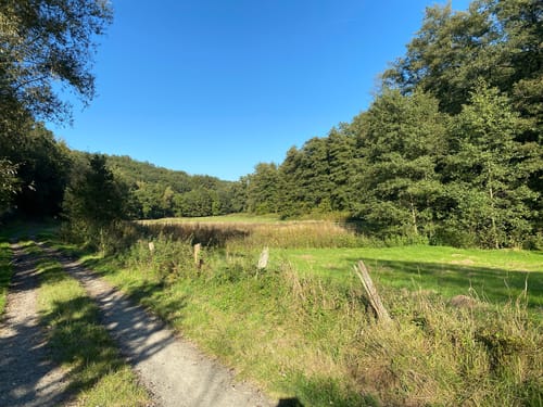 B2 - Dreiherrensteinweg