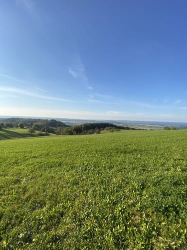 Löwenpfad Spielburg-Runde