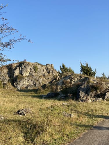 Löwenpfad Spielburg-Runde