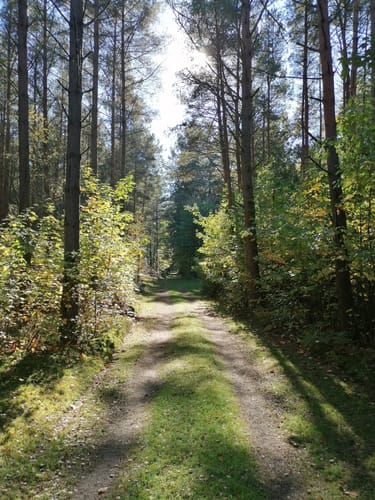 Bullowsee - Felschen-See