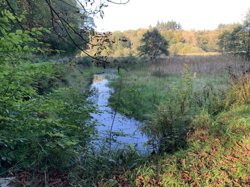 Wanderroute Boxberg-Waldhütten