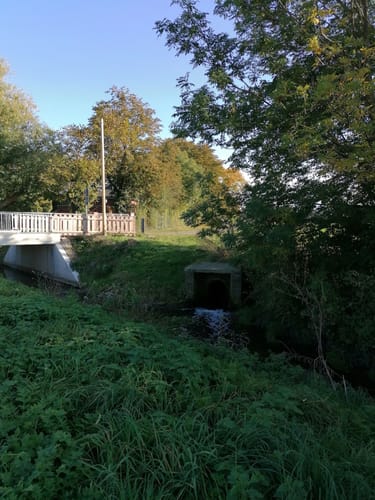 Bückeburger Niederung ab Scheie