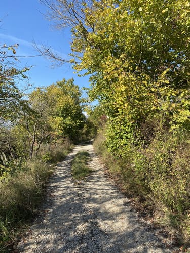 Rund um den Weinlehrpfad Edelberg