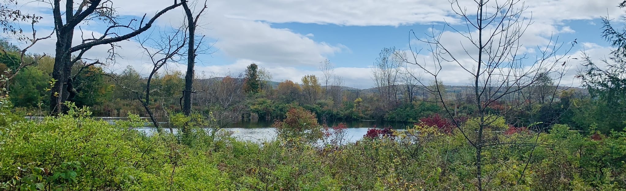 AllTrails Lime Hollow Nature Center 211 Reviews, Map New York