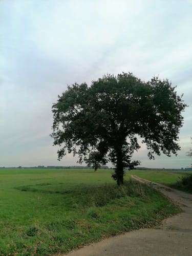 Binner Schlucht