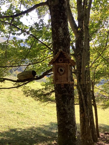 Hausacher Bergsteig (Genießerpfad)