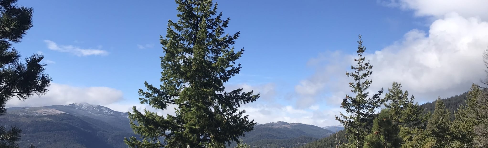 Mount Riddell, British Columbia, Canada - 5 Reviews, Map | AllTrails