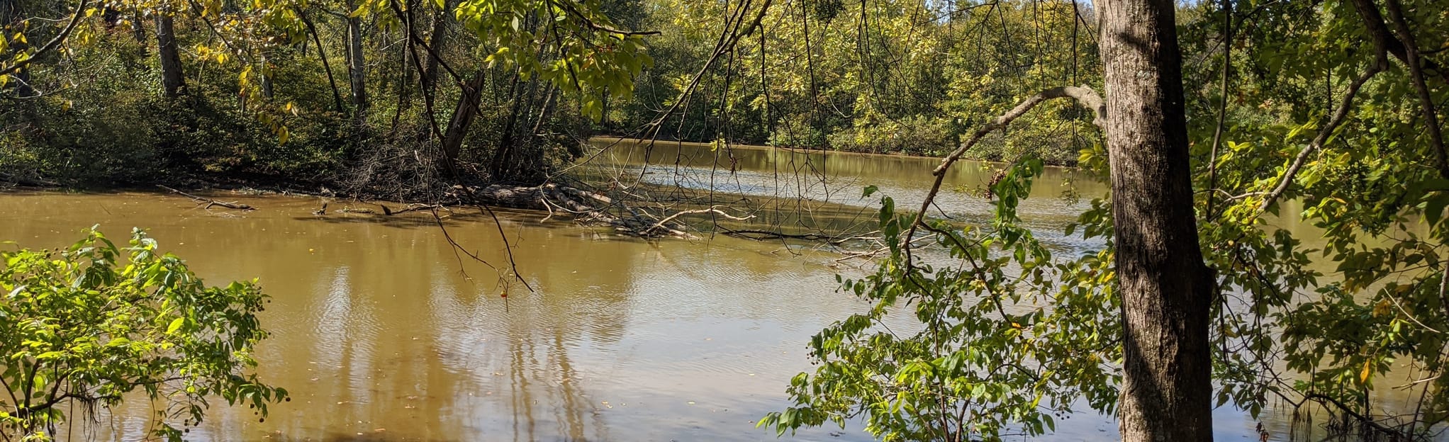 Caperton Swamp, Kentucky 76 Reviews, Map AllTrails