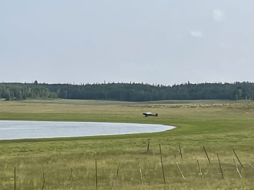 Photos of La Jara, Colorado bird watching trails | AllTrails