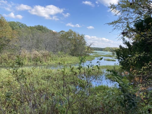 Lake Murray Hiking Trails Best 10 Trails In Lake Murray State Park | Alltrails
