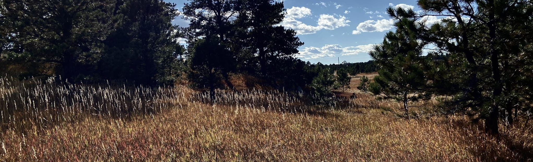 Homestead Ranch Outer Loop: 391 Reviews, Map - Colorado | AllTrails