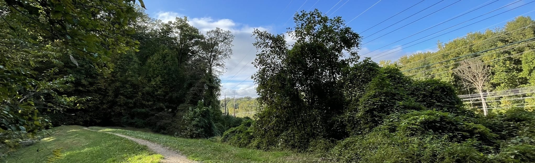 Cabin John Trail Tuckerman Lane to MacArthur Boulevard, Maryland 290 Reviews, Map AllTrails