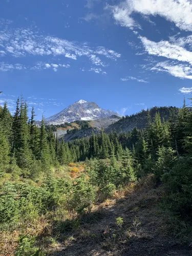 Alltrails discount mt hood