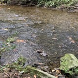 Darby Creek Trail, Pennsylvania 1,344 Reviews, Map AllTrails