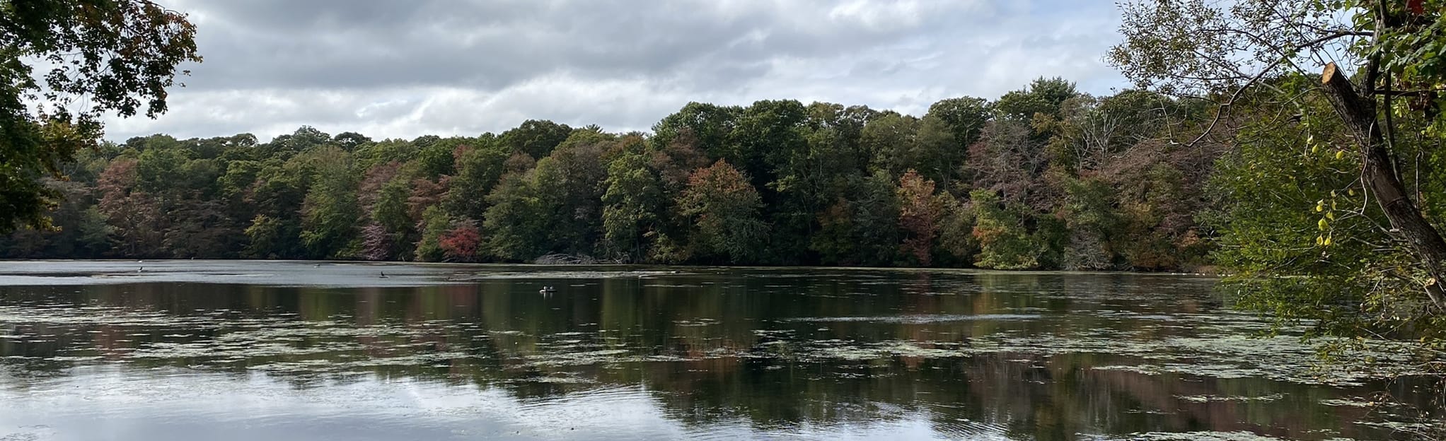 Long Island Greenbelt Trail Caleb Smith Park 46 Reviews, Map New