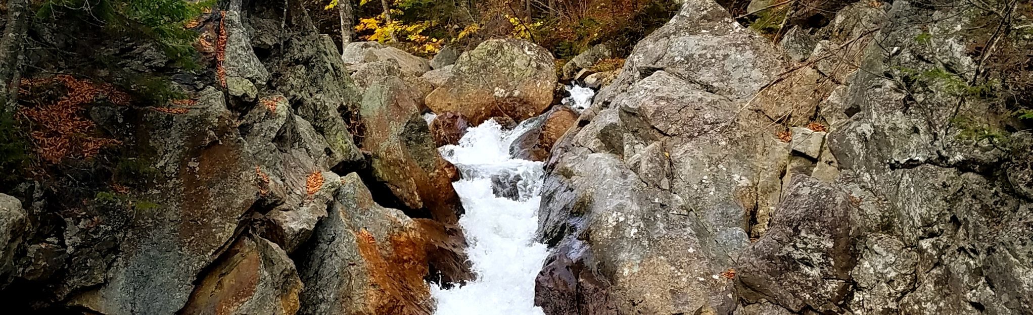 Glen Ellis Falls Trail, New Hampshire - 870 Reviews, Map | AllTrails