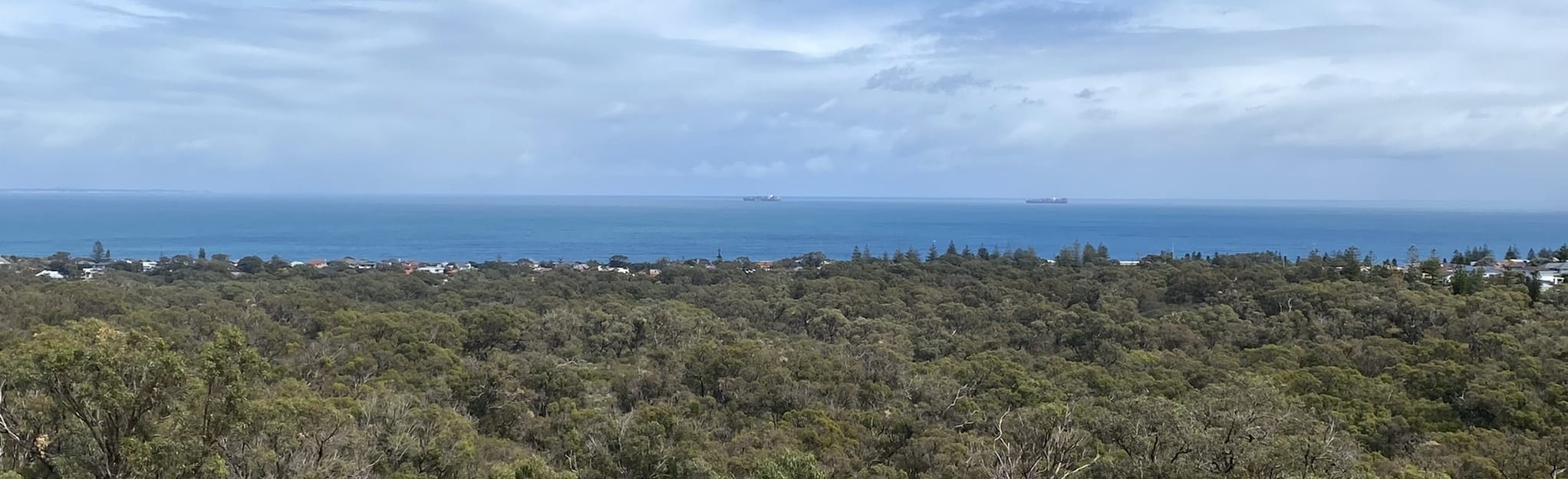 Reabold Hill Summit Boardwalk via Ocean View Lookout 225 foto