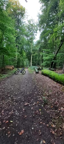 Tüschelwald und Uedemer Hochwald