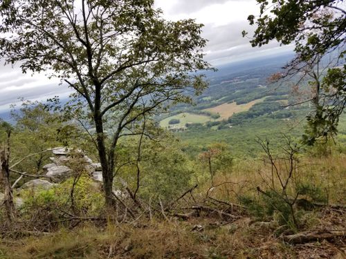 Best 10 Hikes and Trails in Pilot Mountain State Park | AllTrails