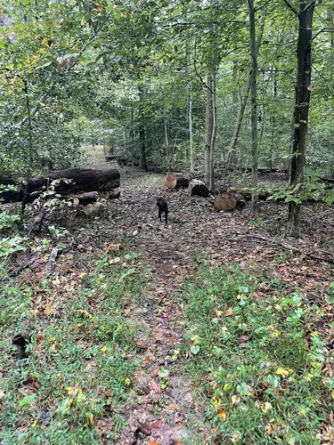 Best Hikes and Trails in Rollins Fork AllTrails