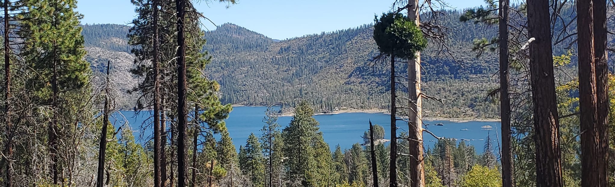 Lake Eleanor Campground, California 32 Reviews, Map AllTrails