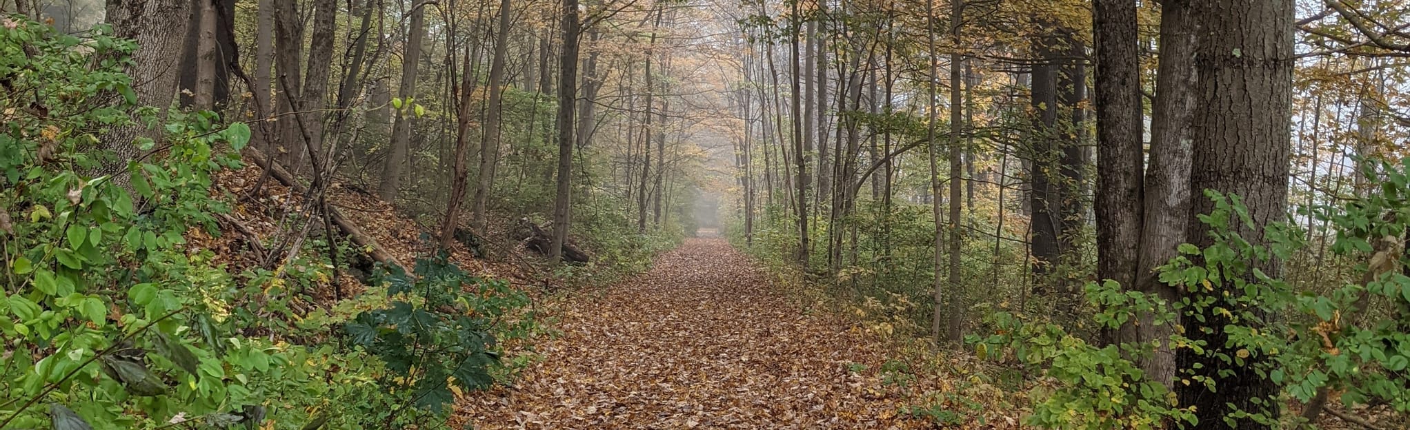 AllTrails Housie Rail Trail 34 Reviews, Map Massachusetts