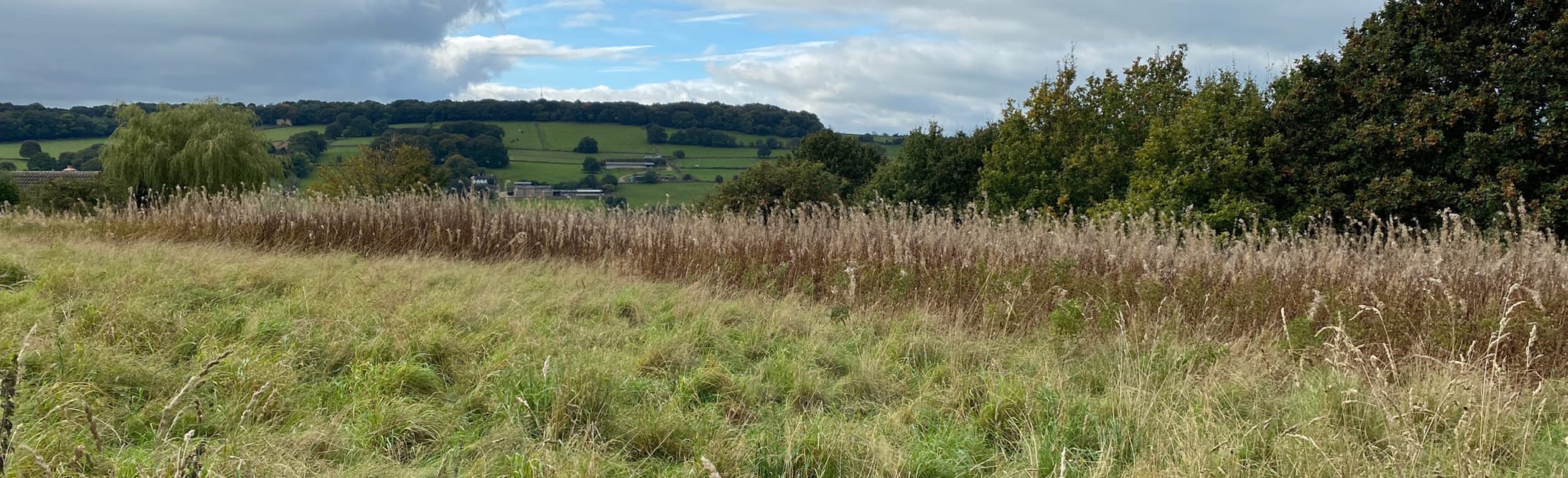Nether Heage and Belper Circular Derbyshire, England AllTrails
