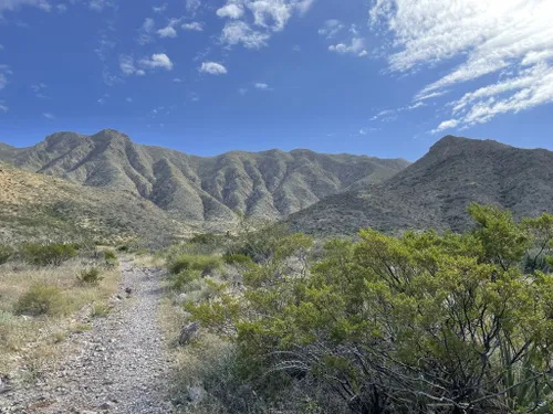 10 Best Mountain Biking Trails in El Paso | AllTrails