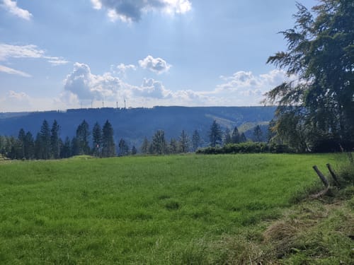 Auf den Spuren der Schlacht im Hürtgenwald