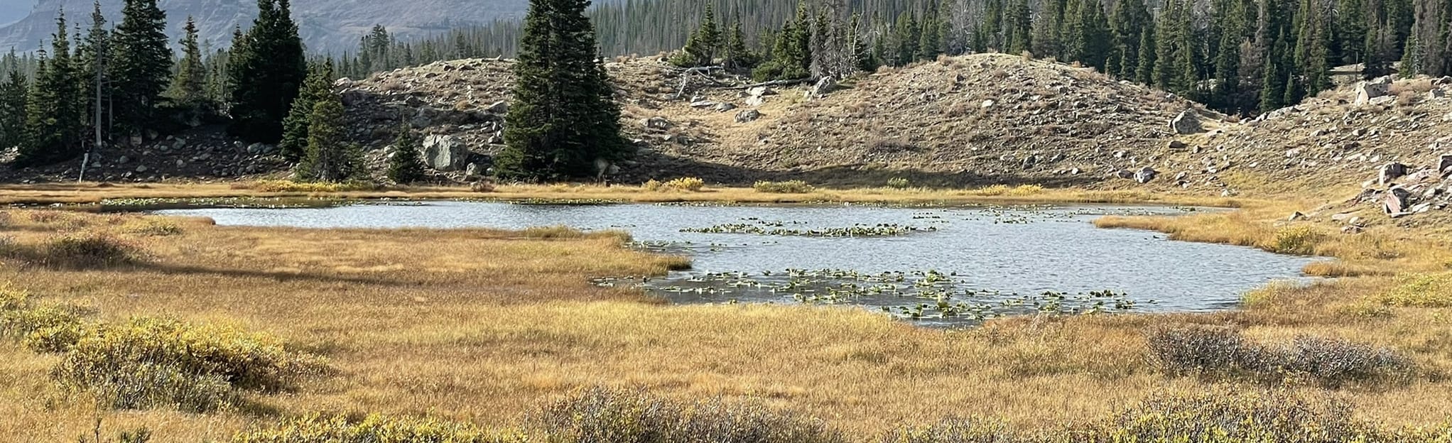 Fox Lake via West Fork of Whiterocks Trail, Utah 13 Reviews, Map