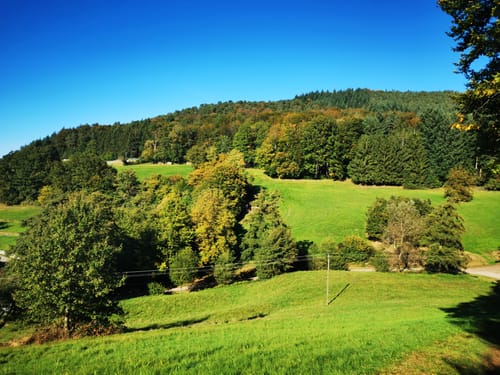 Seelbach Panoramawanderung