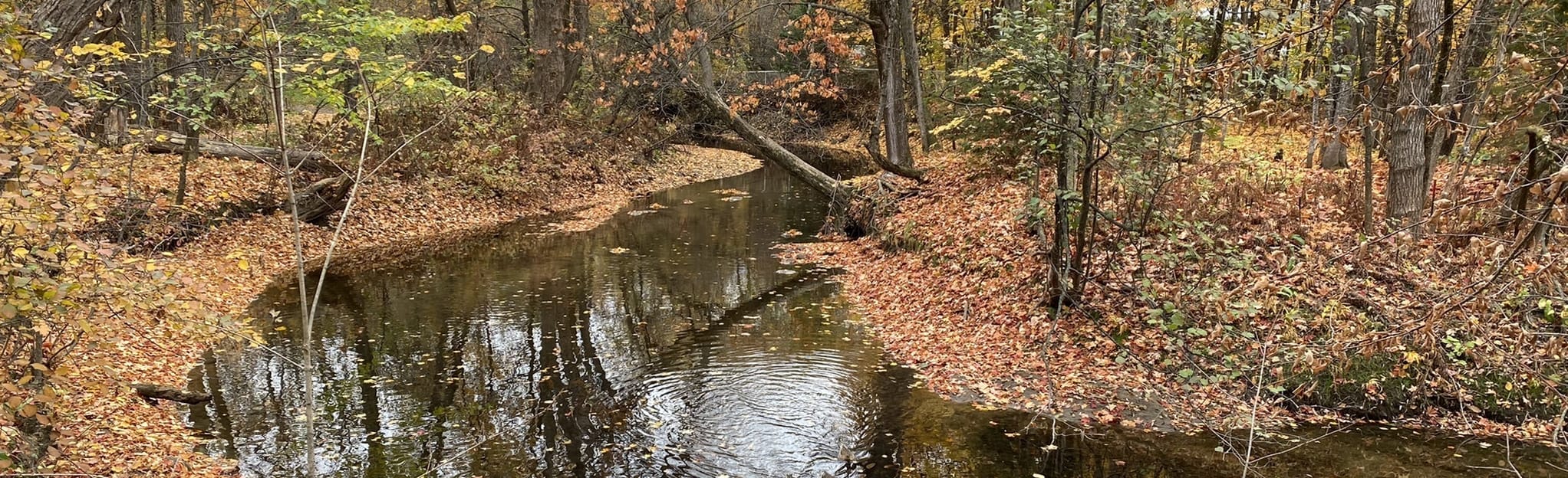 Parc de la Rivière Lorette 442 Reviews, Map Quebec, Canada AllTrails