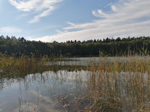 Bullowsee - Felschen-See