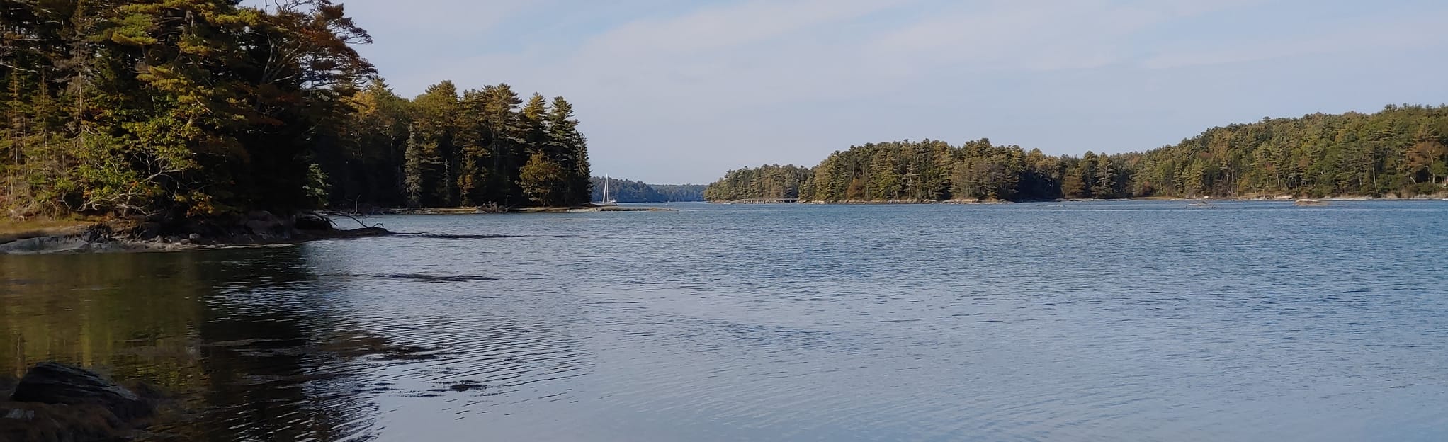 Seal Cove Trail, Maine 53 Reviews, Map AllTrails