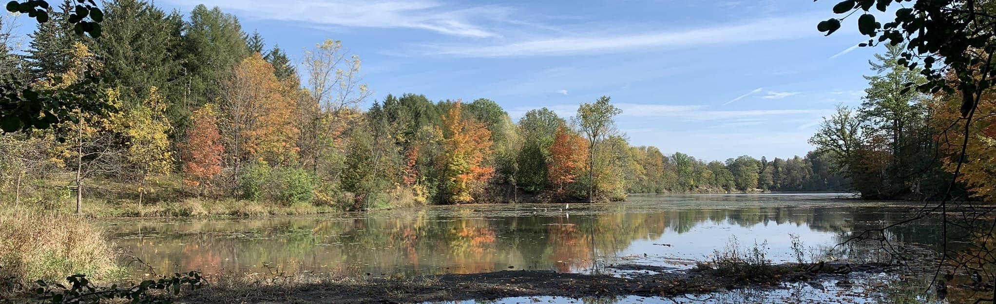 Milne Dam Trail, Ontario, Canada - 440 Reviews, Map | AllTrails