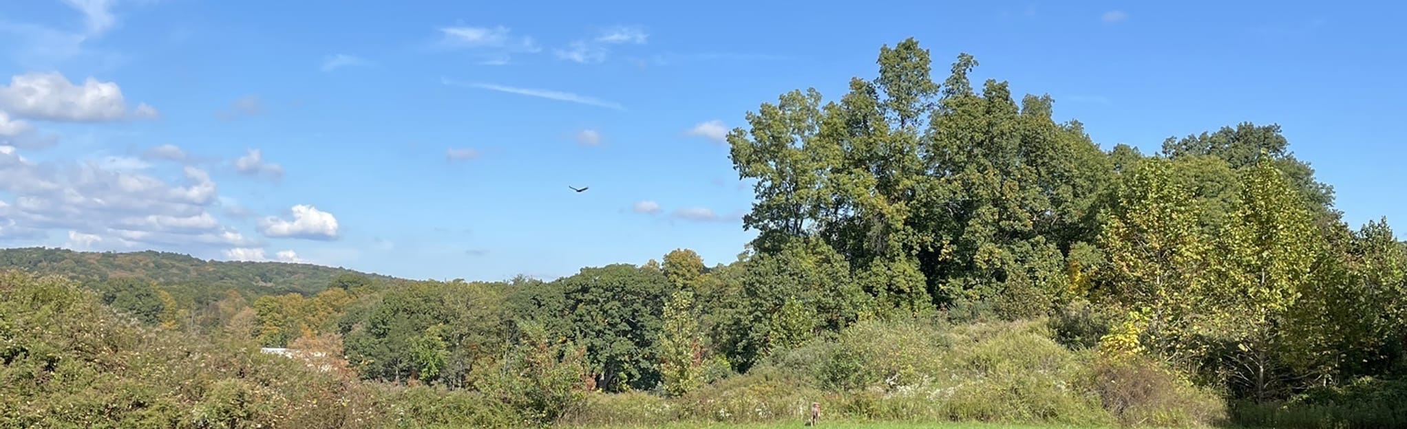 Strawberry Hill, Connecticut 109 Reviews, Map AllTrails