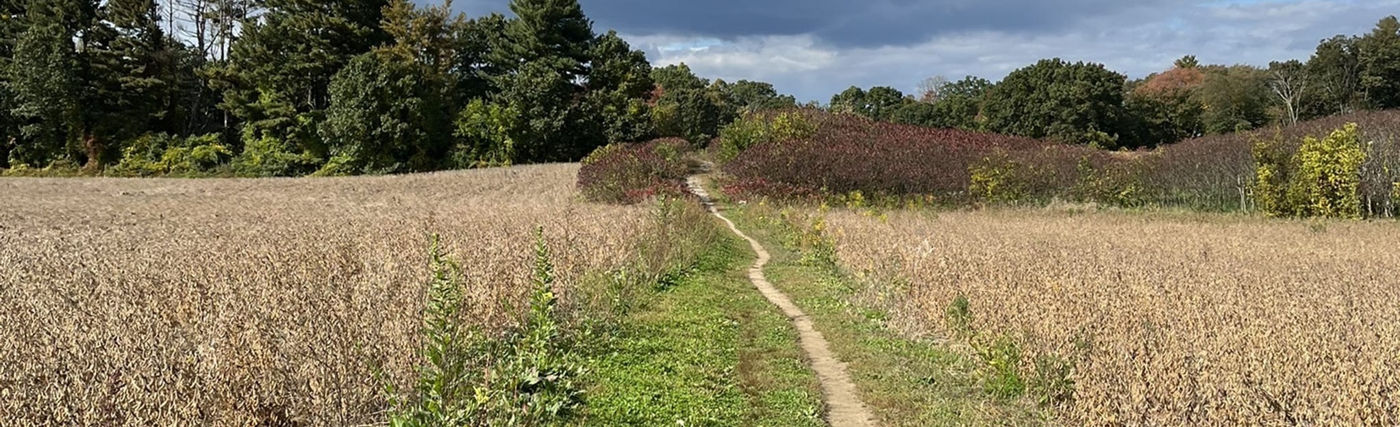 Westboro Wildlife Management Area and Chauncy Lake Loop 296 Reviews, Map Massachusetts