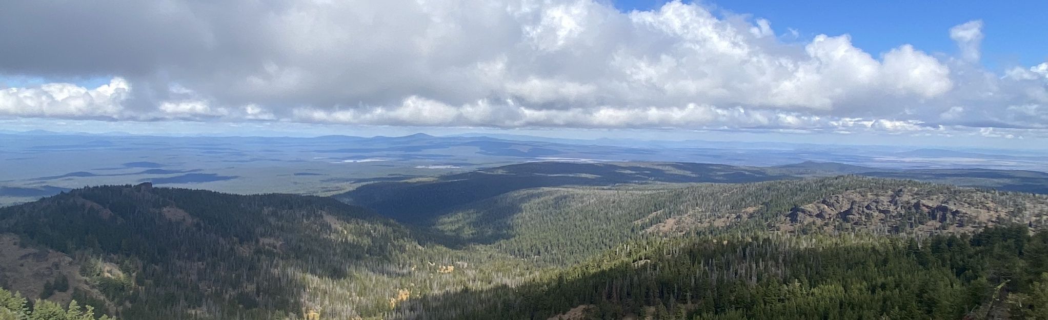 Yamsay Mountain 7 Reviews, Map Oregon AllTrails