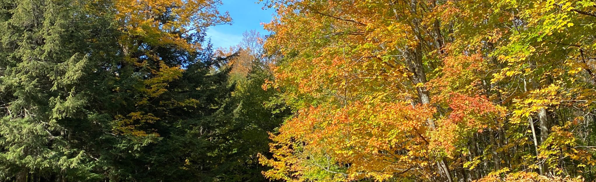 Presque Isle Falls Loop , Michigan 217 Reviews, Map AllTrails