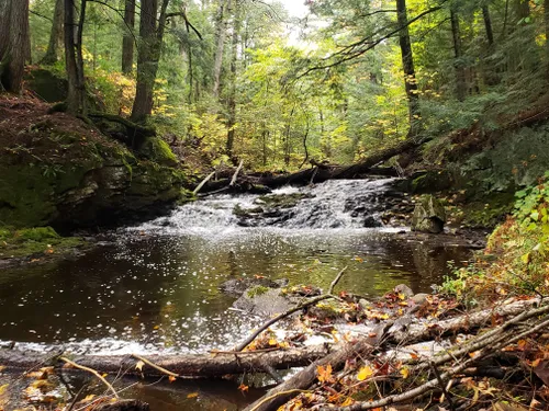 10 Best Bird Watching Trails in Porcupine Mountains Wilderness State ...