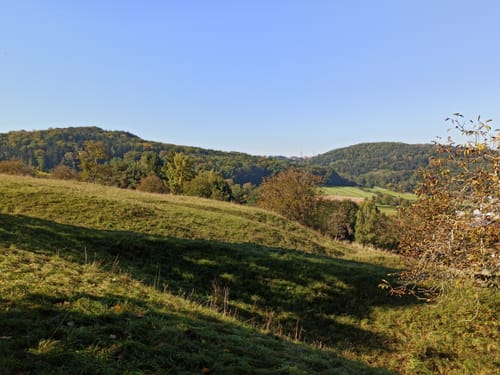 Thalmässing 4 : Premiumwanderweg Jurakante